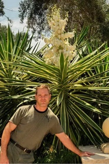 Koby's Garden Alchemy, Yucca, Bloom, Flower, Colorful Foliage, Consult, Design, Fine Gardening