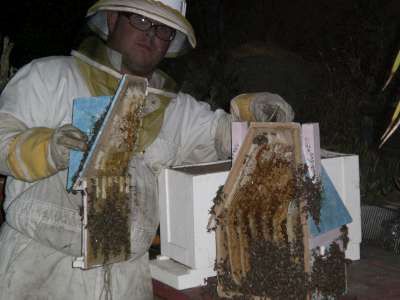 David has been beekeeping most of his life. Tending bees at a young age with his father.