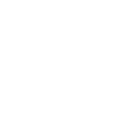       #paradisonc