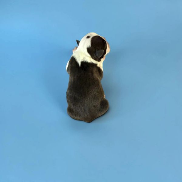 Small black and white puppy sitting on blue floor.