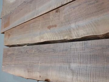 bastogne walnut