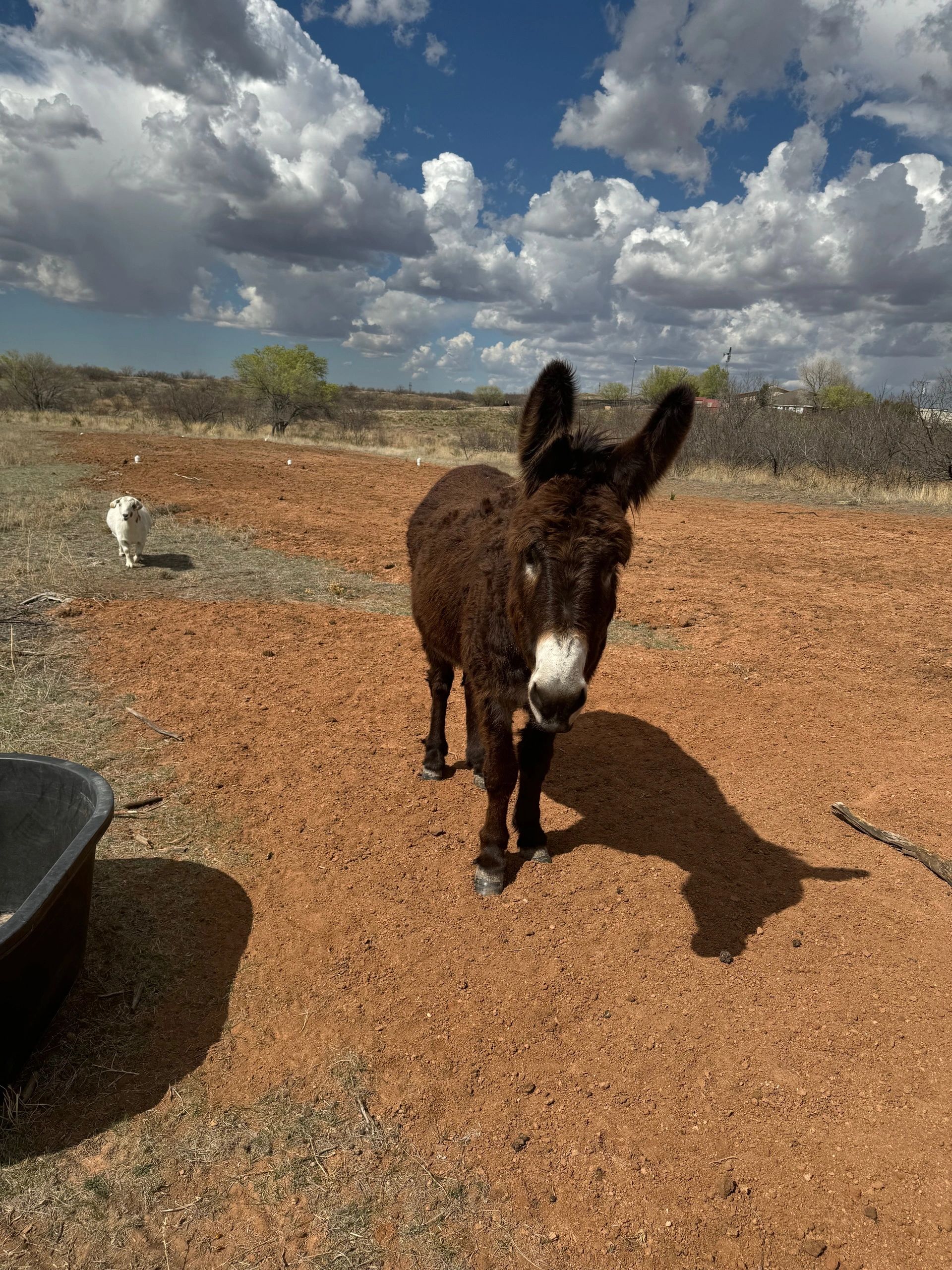 Countryside RV Park photo 5