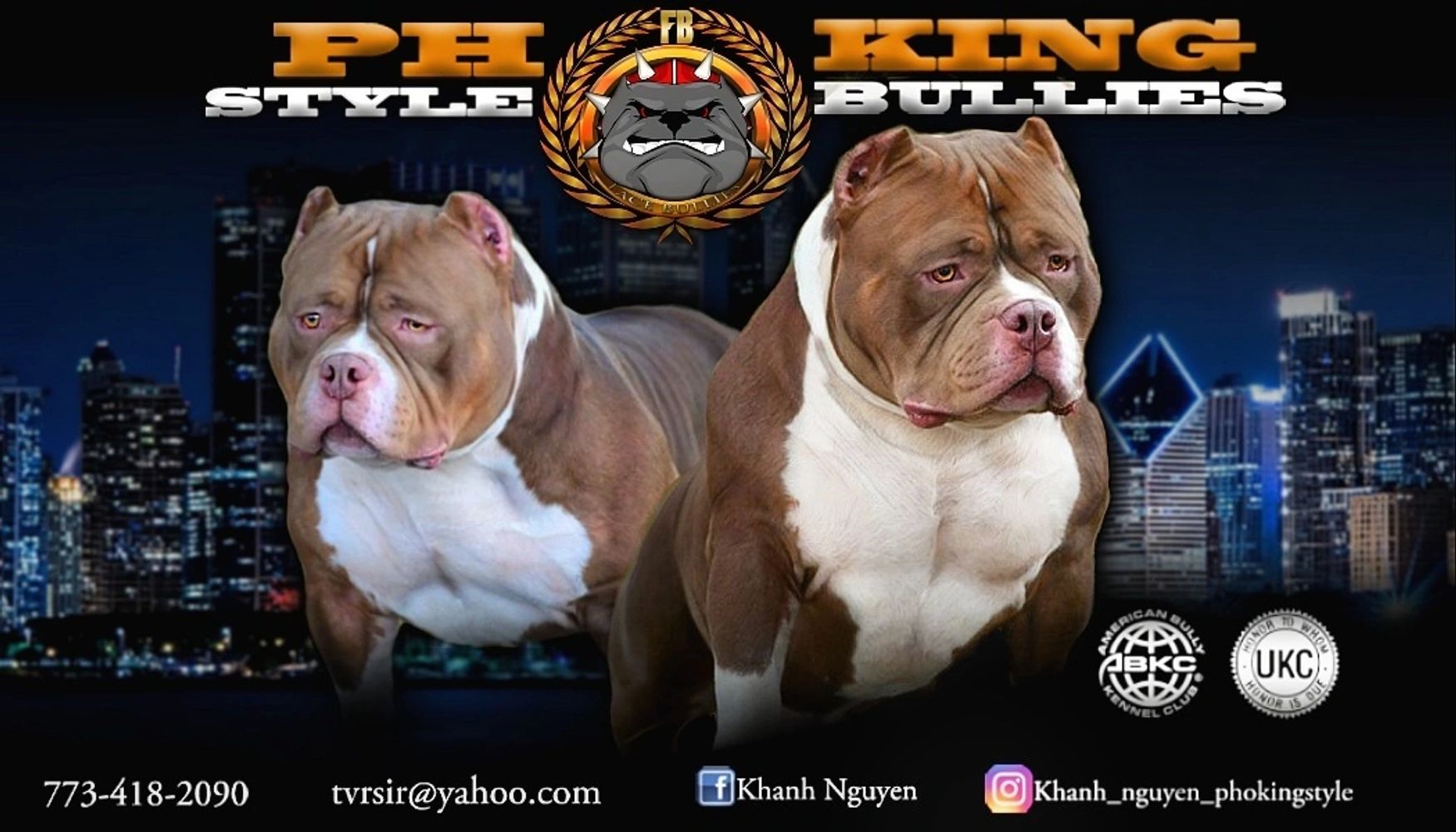 American Bully Shows 2025 Near Me