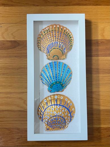 Three decorated seashells in a white frame.