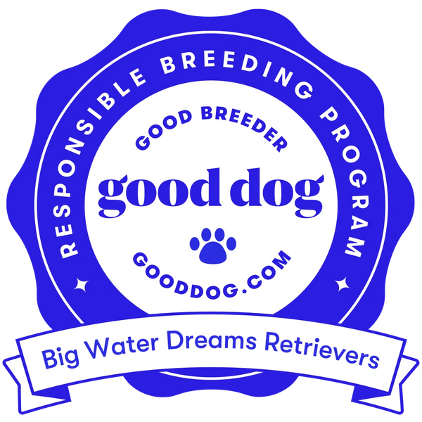 Big Water Dreams Retrievers is a responsible breeder. 