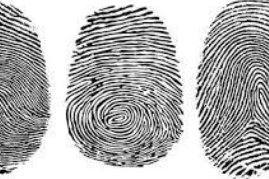 LIVE SCAN FINGERPRINTING HUNTINGTON BEACH LIVE SCAN FINGERPRINTING HUNTINGTON BEACH LIVE SCAN FINGER