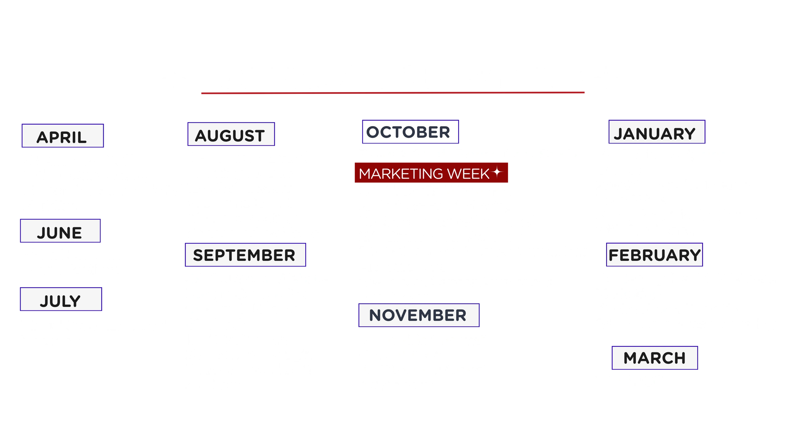 FAU, FAU AMA, south florida , florida atlantic university , American marketing association 