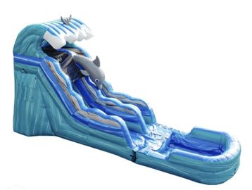 Inflatable blue water slide with dolphin design.