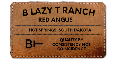 B Lazy T Ranch Hot Springs, SD