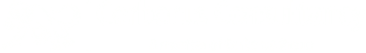 Cerberus Consultancy