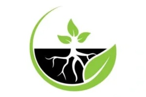 Roots Vertical Farm