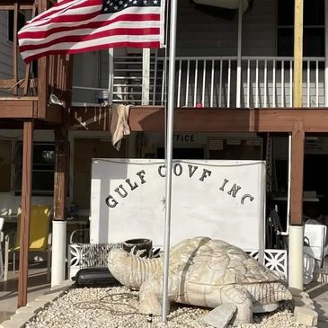 Picture of the Turtle