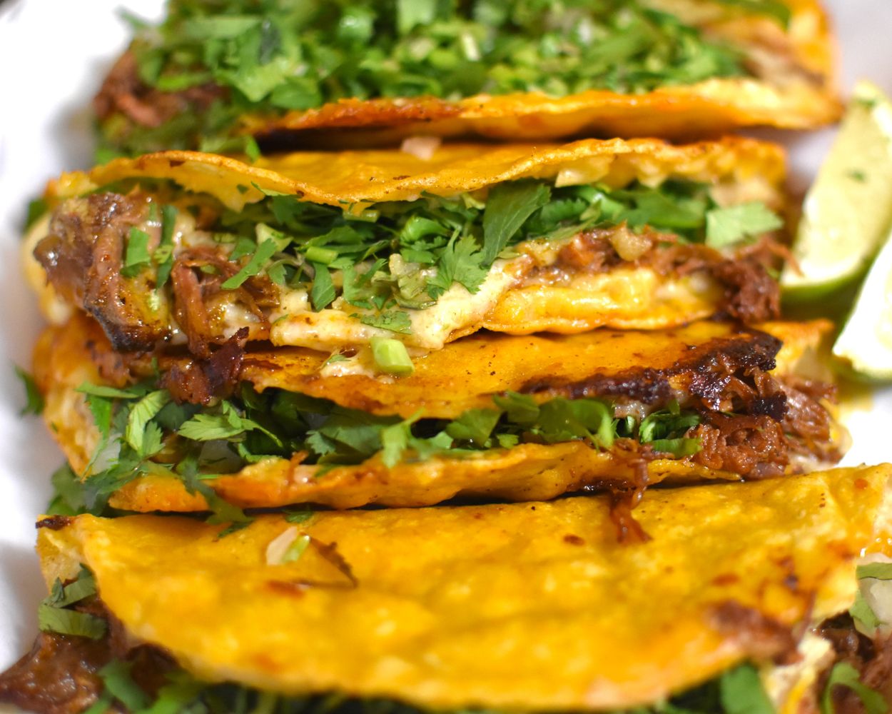 Quesabirria tacos homemade tortilla hecha a mano