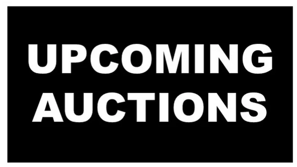 Cassel & Associates Upcoming Auctions