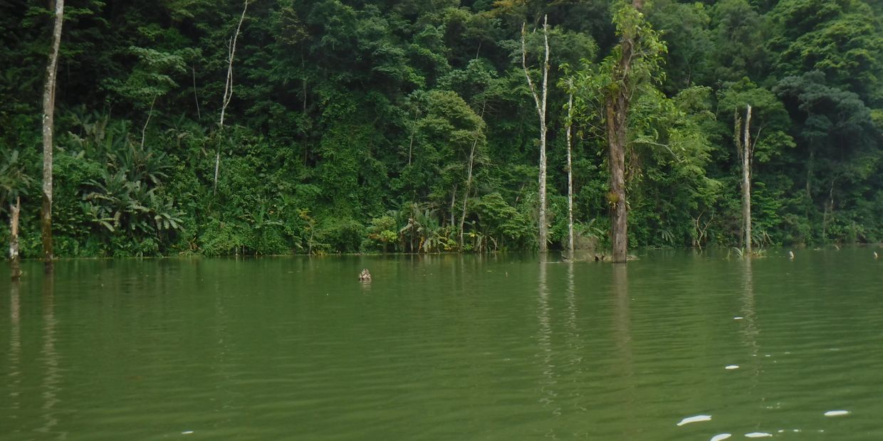 Reventazón Lake view.