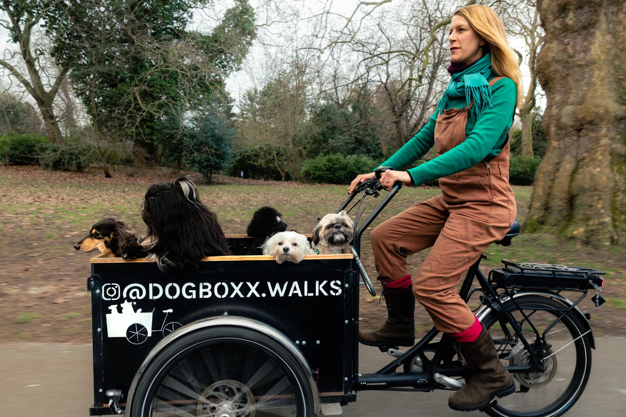 DogBoxx - Dog Walker, Dog Walking Services, Dog Walker, Dog DogBoxx - Dog Walker, Dog Walking Services, Dog Walker, Dog