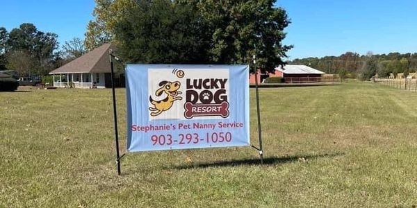 Lucky Dog Resort