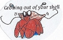 GROWING OUT OF YOUR SHELL