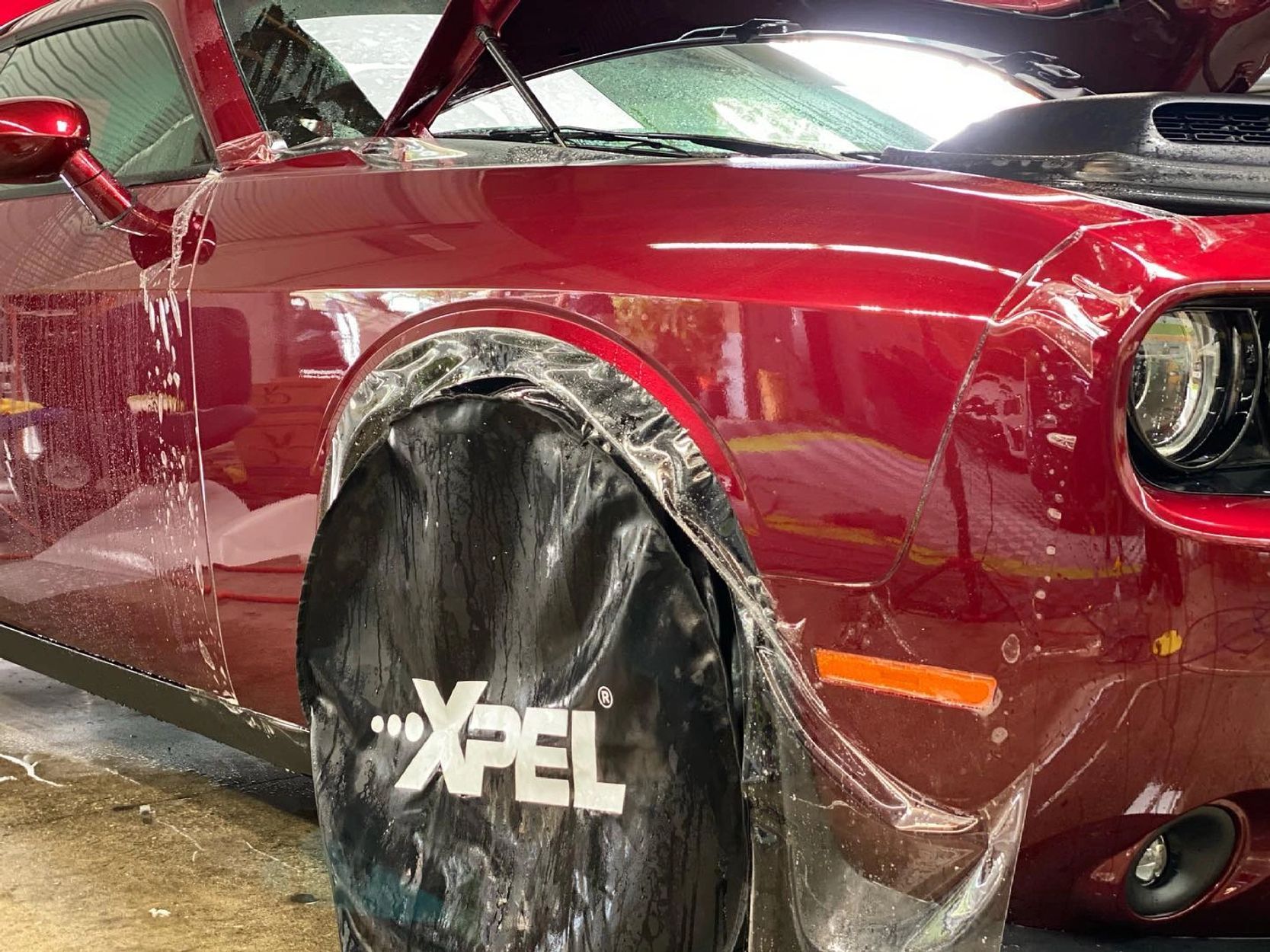XPEL Paint Protection Film install — Xtreme Edge