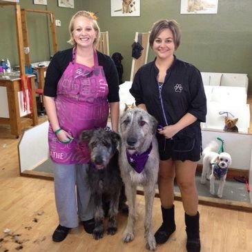 2008 - Edris and Jeneh working with Hank and Haddie @ Best Friends Grooming Salon! 