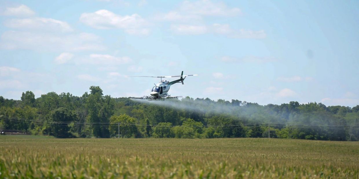 Helicopter spraying crops over a green field on a sunny day.