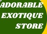 Adorable Exotique
