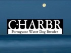 Charbr Portuguese Water Dogs