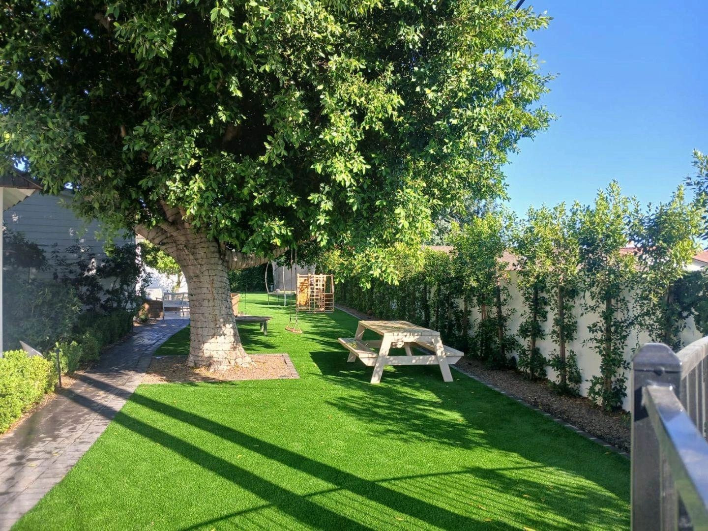 Sunny backyard with tree, swing, and picnic table.