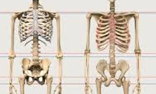 The Mandela Effect | TheGnosticSyncretist