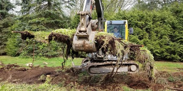 Excavator and skid steer removal and clearing with less mud and mess.