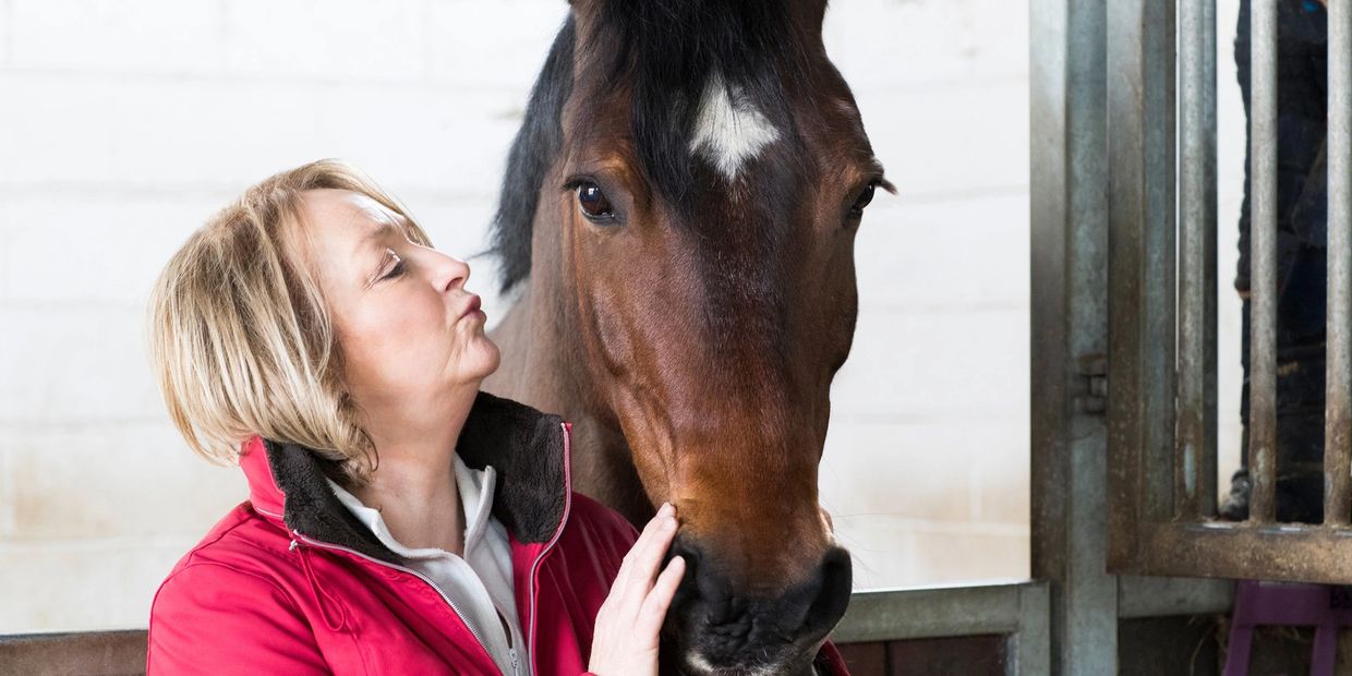 horses helping seniors with dementia