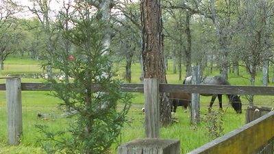 Roughout Ranch Foundation