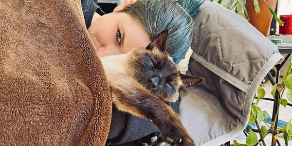 Siamese cat having a lovely nap on a cold winters day in the arms of his mommy. 