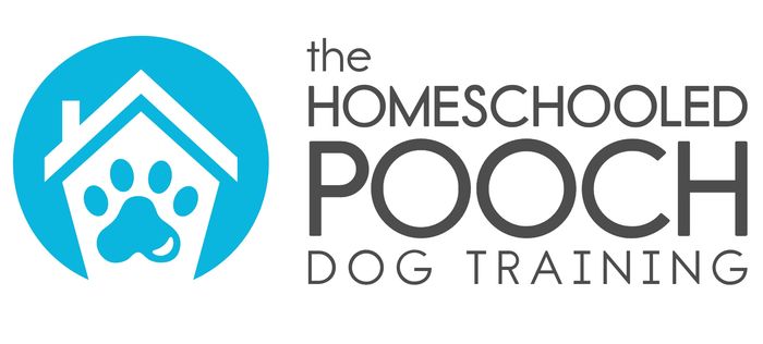 The Homeschooled Pooch