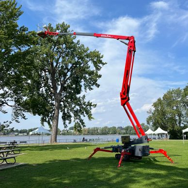 A red cherry picker extends to a tall tree by a lakeside park.