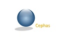 Cephas Project Management 