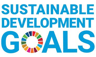 Sustainable Development Goals Logo