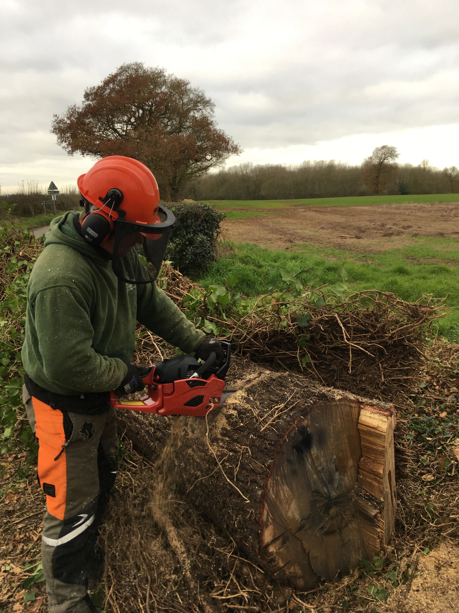 Landscape, Tree Work - DC Tree Care - Burton upon Trent, England