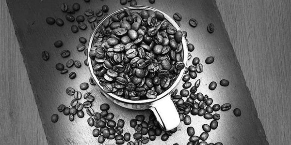 black slate with coffee mug, fresh coffee beans 
rainforest alliance coffee beans 