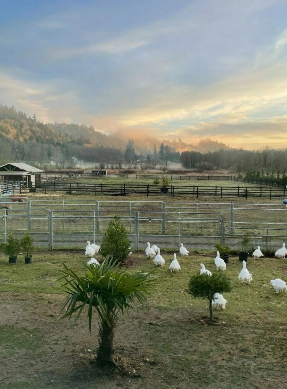 Field Point Farm