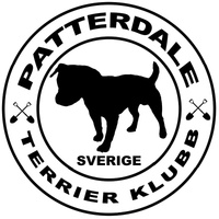 Patterdale Terrier