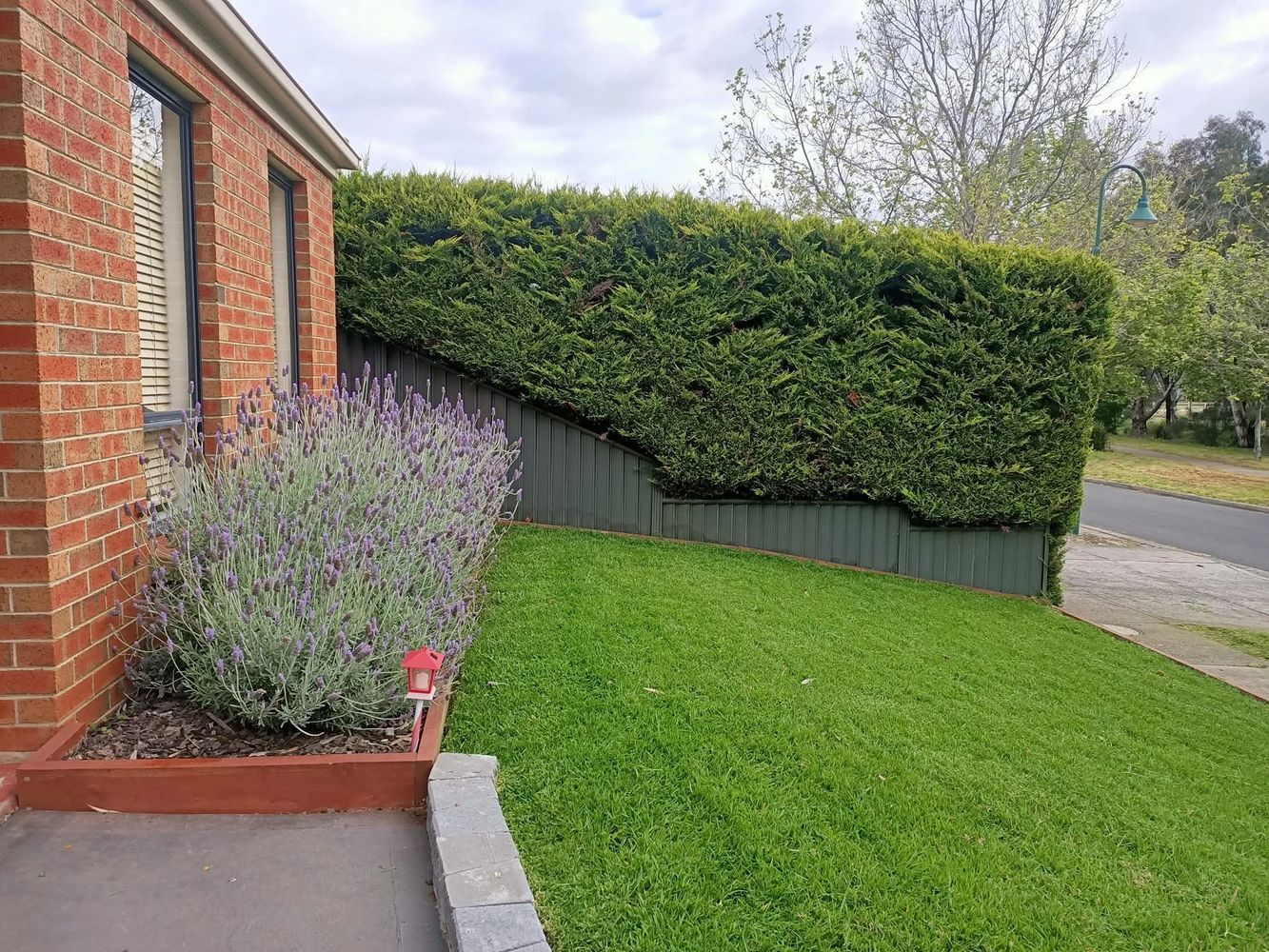 front yard regular lawn mowing  and garden maintenance of a property we landscaped.