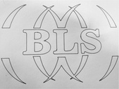 BLS Services, Inc.