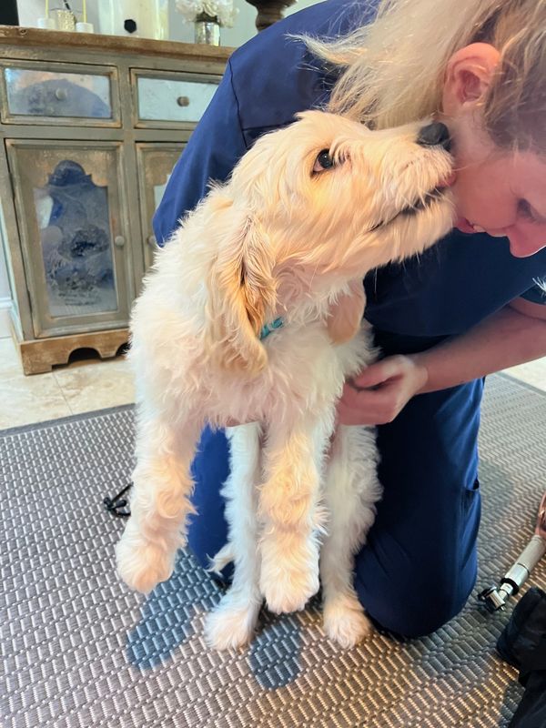 Dr. Alana's Veterinary Care Veterinarian, House Calls Mobile