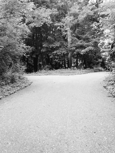 The path to mindfulness is a journey!