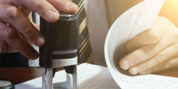 Local Civil Engineer who prepares engineering documents.