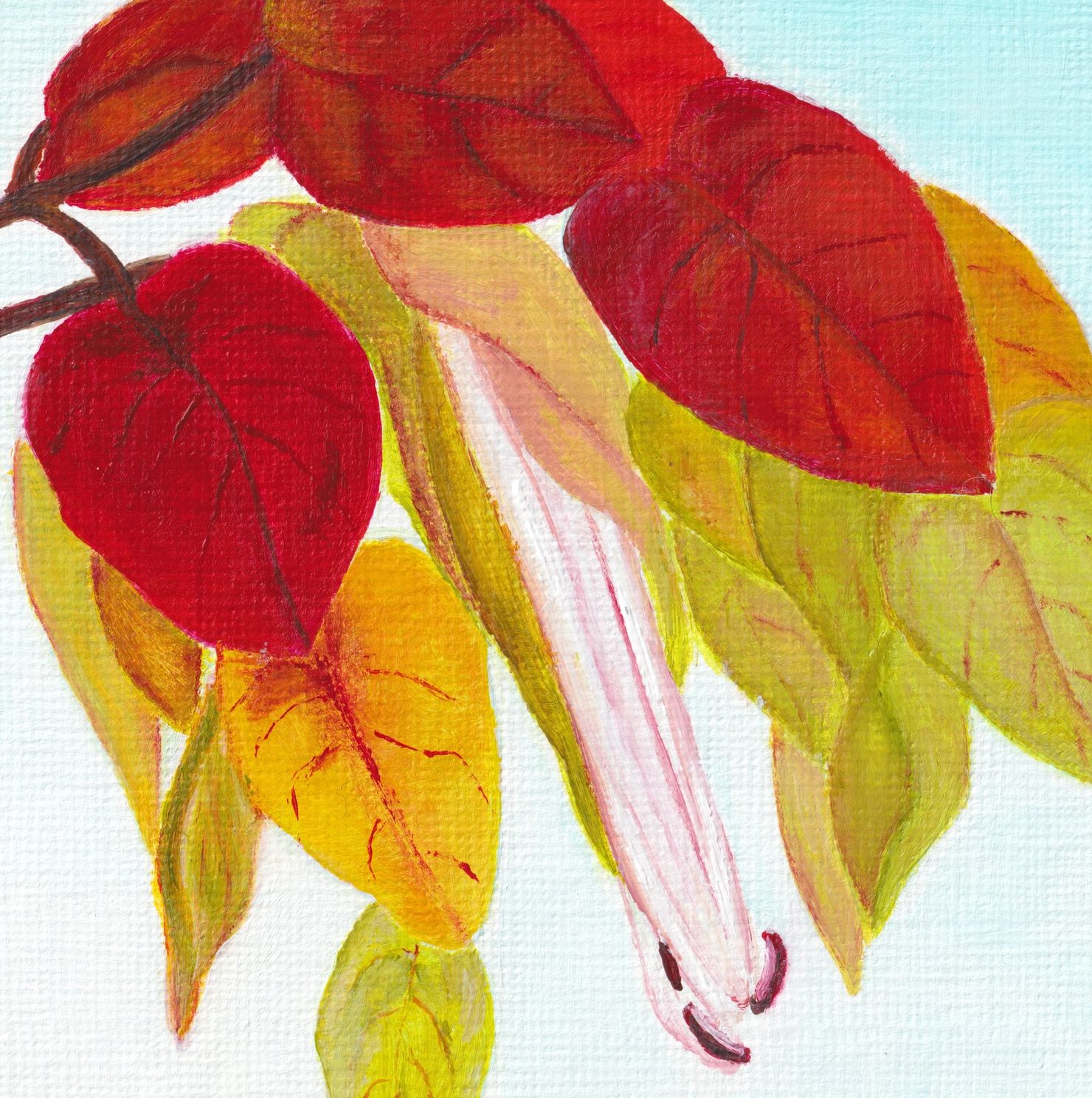 The Shrimp Plant© Acrylic Painting by Darlene G.  