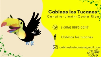 cabinaslostucanes.com