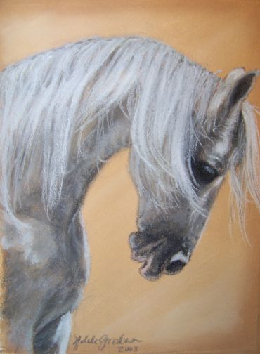 Profile of a white horse with flowing mane.