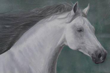 Graceful white horse with flowing mane.